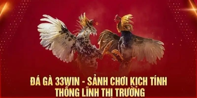 Yếu tố kỹ thuật đặt biệt chỉ có tại trường đá gà 33WIN